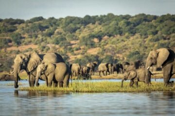 Cultural Richness of Botswana: An In-Depth Look at Traditions and Modern Influences