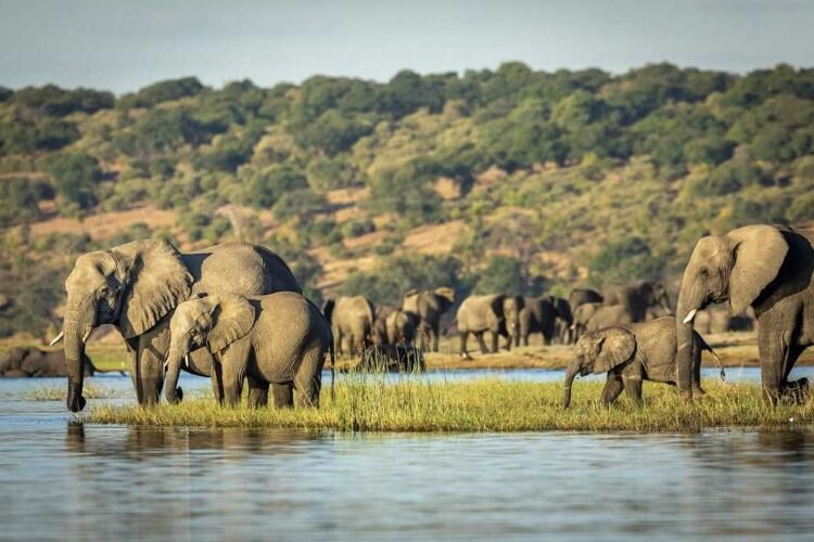 Cultural Richness of Botswana: An In-Depth Look at Traditions and Modern Influences